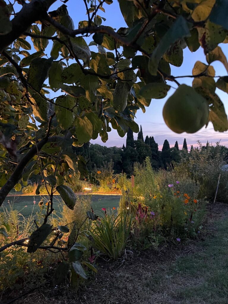 orto sinergico