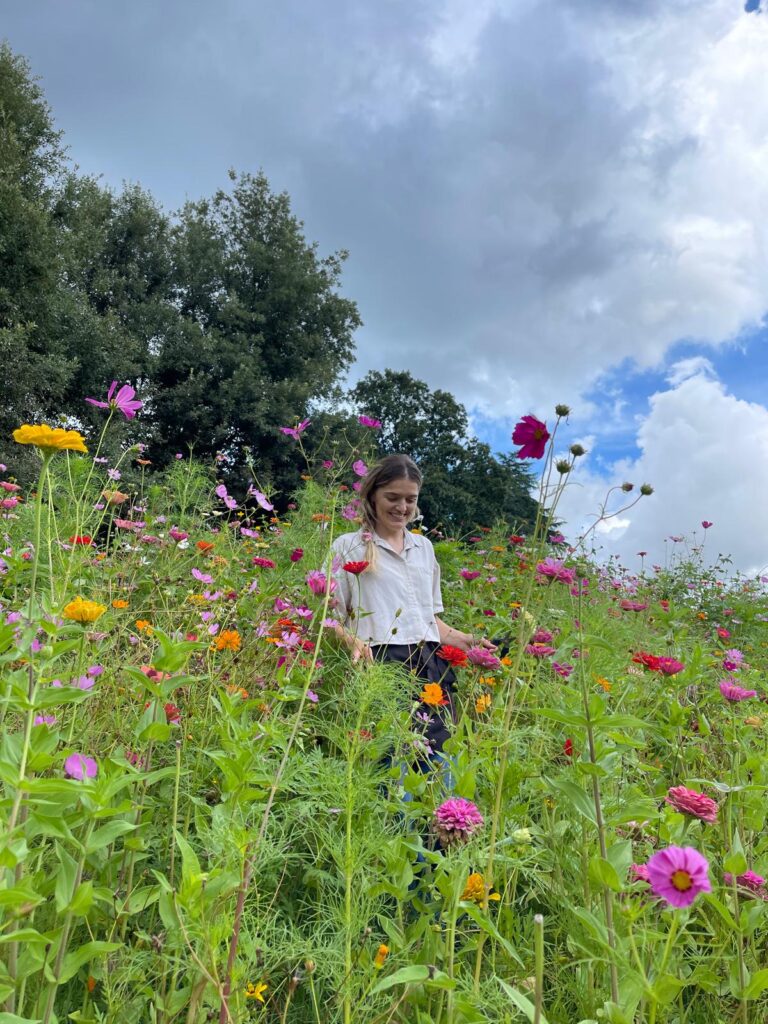 cura giardini e aree verdi
