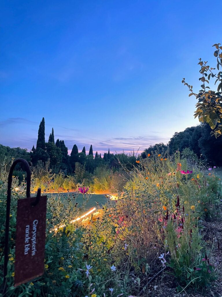 giardino fiorito